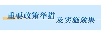 重要政策举措及实施效果